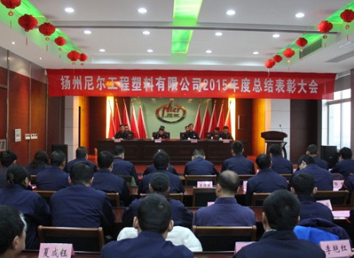 瞄准新目标、开启新征程——公司举行2015年工作总结表彰大会