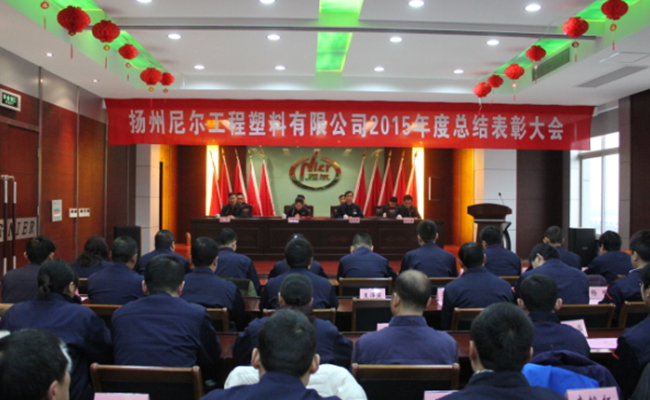 瞄准新目标、开启新征程——公司举行2015年工作总结表彰大会
