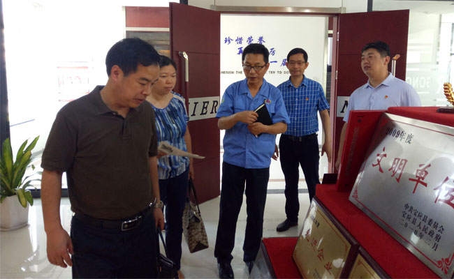 市委组织部调研榴莲APP网站入口党支部工作室