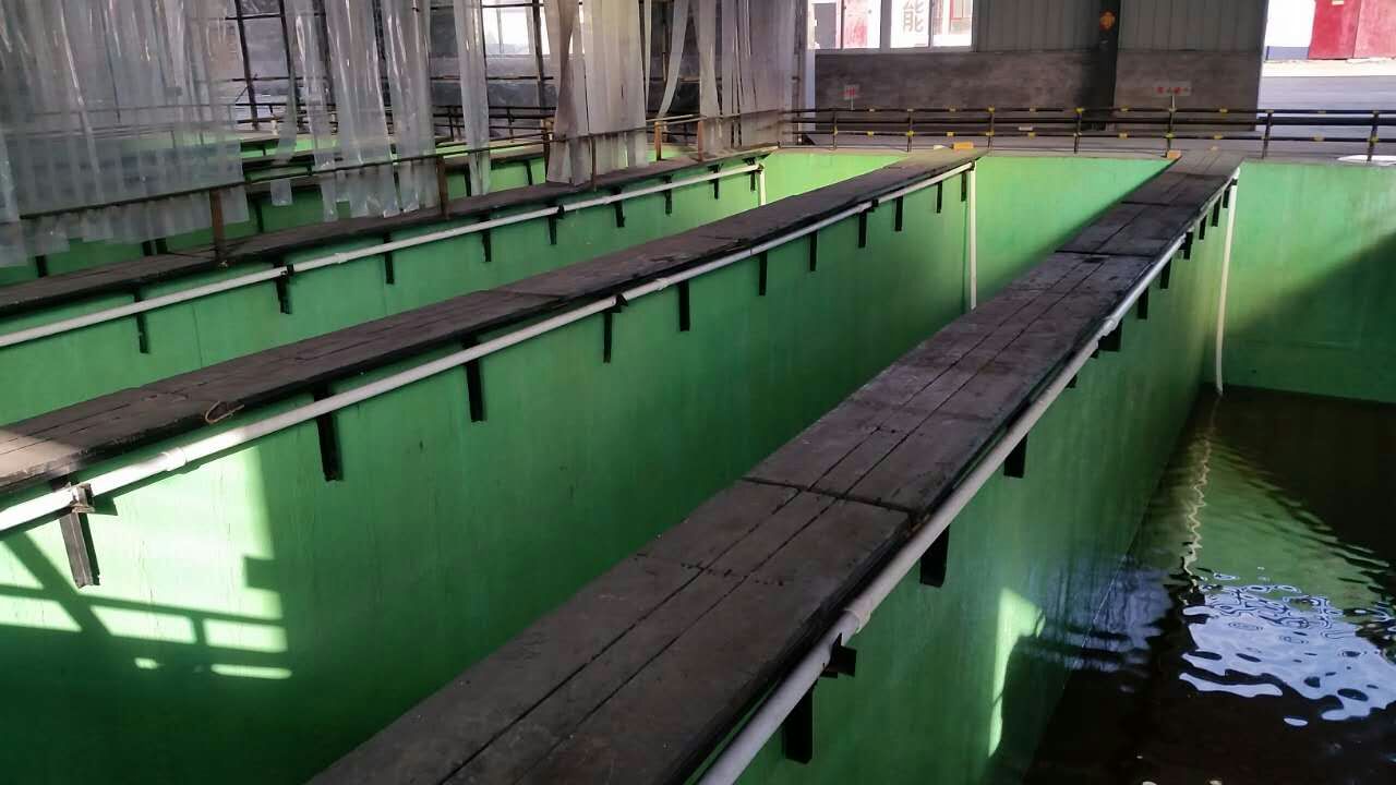 榴莲视频色版大全防腐的常见问题及解决方案